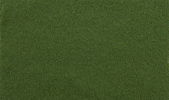 OakridgeStores.com | Woodland Scenics - Ground Cover - Spring Grass (All Game Terrain) - 9.72 in3 - G6436 724771064367