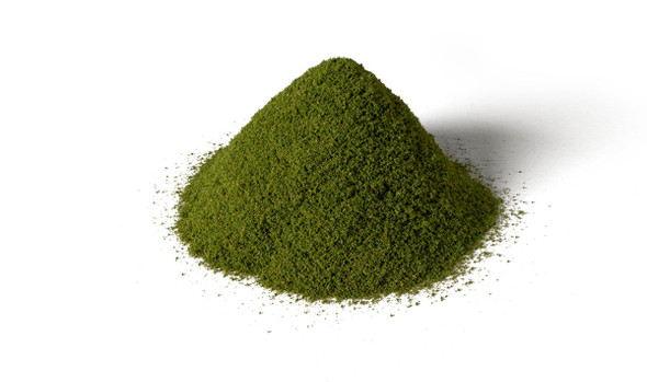 OakridgeStores.com | Woodland Scenics - Ground Cover - Summer Grass (All Game Terrain) - 9.72 in3 - G6437 724771064374