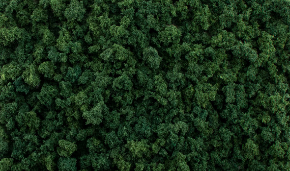 OakridgeStores.com | Woodland Scenics - All Scales Dark Green Foliage Clumps - Ground Cover - G6463 724771064633