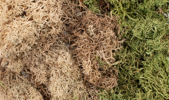 OakridgeStores.com | Woodland Scenics - EZ Bushes - Winter Mix - All Game Terrain - 9.72 in3 - G6500 724771065005