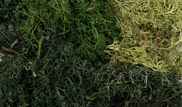 OakridgeStores.com | Woodland Scenics - EZ Bushes - Summer Mix - All Game Terrain - 9.72 in3 - G6501 724771065012