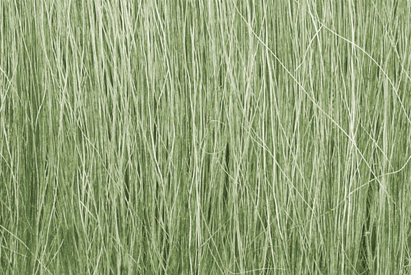 WOODLAND SCENICS - Field Grass Lt. Green (FG173) 724771001737