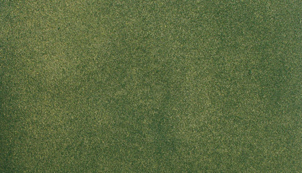 WOODLAND SCENICS - Green Grass - Small Roll (RG5132) 724771051329