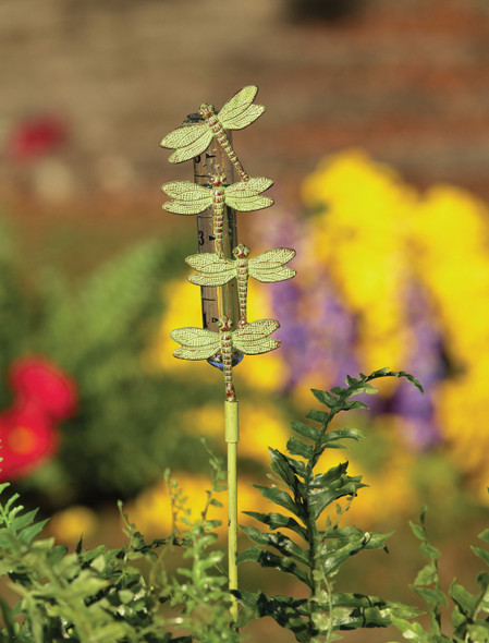 ANCIENT GRAFFITI - Dragonfly - Brass Metal Sculpture Garden Stake Style Rain Gauge (ANCIENTAG1172) 638071777714