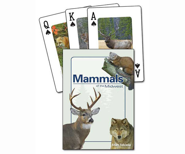 ADVENTURE KEEN - Mammals of the Midwest Playing Cards Game (AP32840) 9781591932840