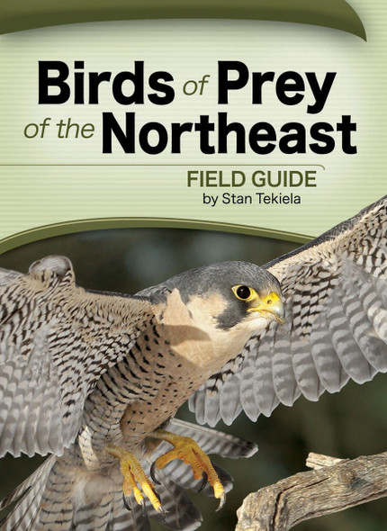 ADVENTURE KEEN - Birds of Prey of the Northeast Field Guide Book (AP33168) 9781591933168