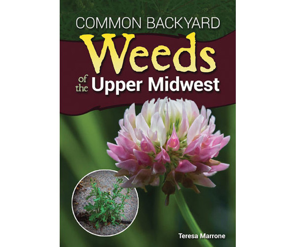 ADVENTURE KEEN - Common Backyard Weeds Midwest Guide (AP37326) 9781591937326