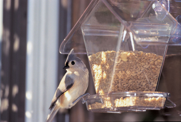 ASPECTS - Clear Window Cafe Hopper Bird Feeder (ASPECTS155) 026451114486