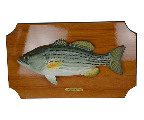 BRUSHART - 18 inch Bass Wall Plaque (BRUSHWPBASS18) 645194206236