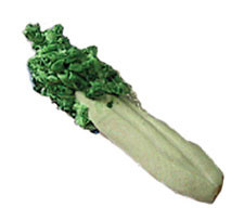 CARRUDUS - 1 Inch Scale Dollhouse Miniature - Celery Bunch (CAR0041)