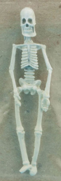 CARRUDUS - 1" Scale Small Skeleton 2.5 Inches High Dollhouse Miniature (8P17)