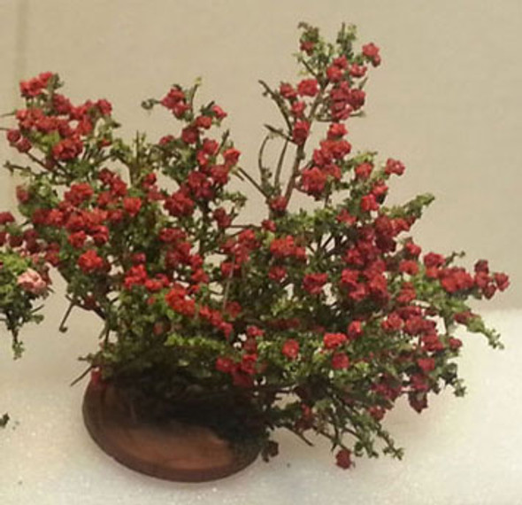 CARRUDUS - 1" Scale Rose Bush Small Red Dollhouse Miniature (BSR)