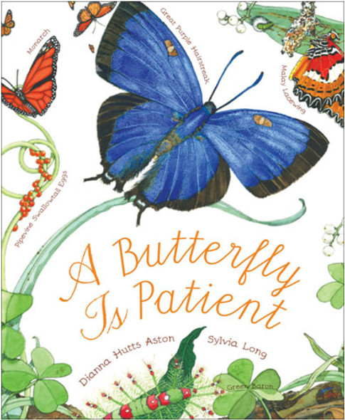 CHRONICLE BOOKS - A Butterfly Is Patient Book (CB9780811864794) 9780811864794