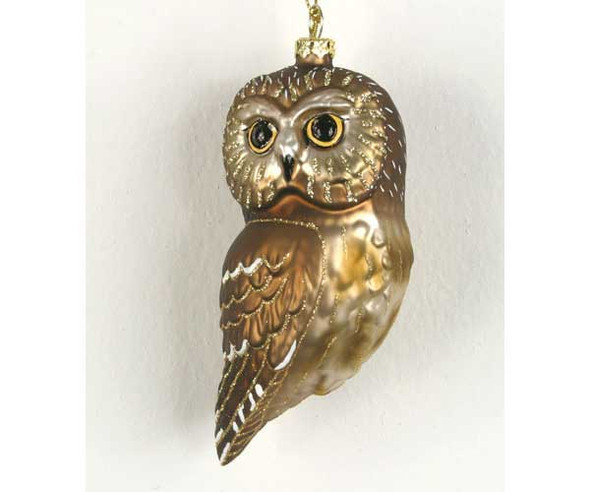 COBANE STUDIO - Northern Saw Whet Owl Glass Ornament (COBANED395) 874504002491