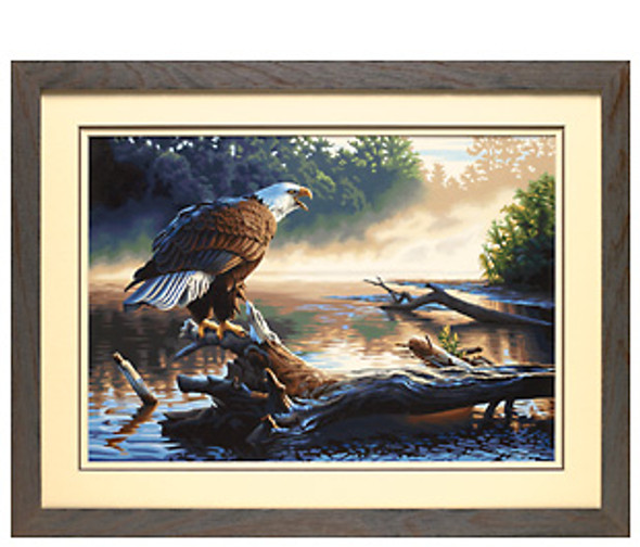 DIMENSIONS - Eagle Hunter- Paint By Number Craft Kit (91379) 088677913793