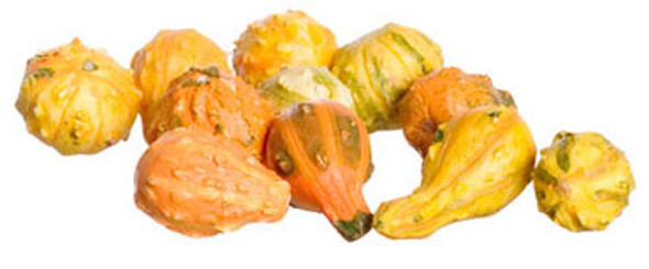 FALCON - Miniature Assorted Squash, 11Pc for 1" Scale Dollhouse Miniature (FCA3075)