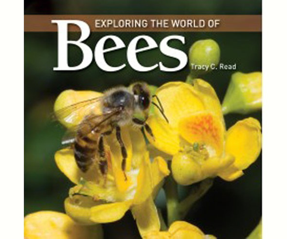 FIREFLY BOOKS - Exploring the World of Bees - Book FIRE1554079551 9781554079551