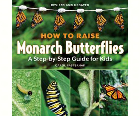 FIREFLY BOOKS - How to Raise Monarch Butterflies For Kids Book FIRE1770850023 9781770850026