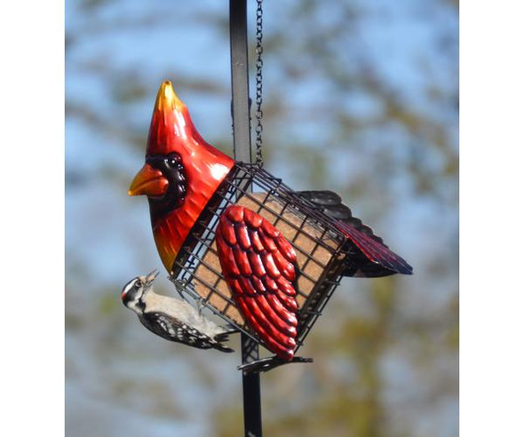 GIFT ESSENTIALS - Cardinal Suet Bird Feeder (GEF1006) 645194080089