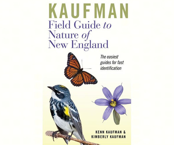 HMP BOOKS - Kaufman Field Guide to Nature of New England Book HM0618456970 9780618456970