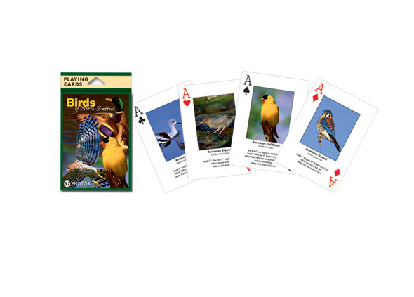 IMPACT PHOTOGRAPHICS - Birds of North American - Playing Cards Deck (IMP144PLY) 802285015836