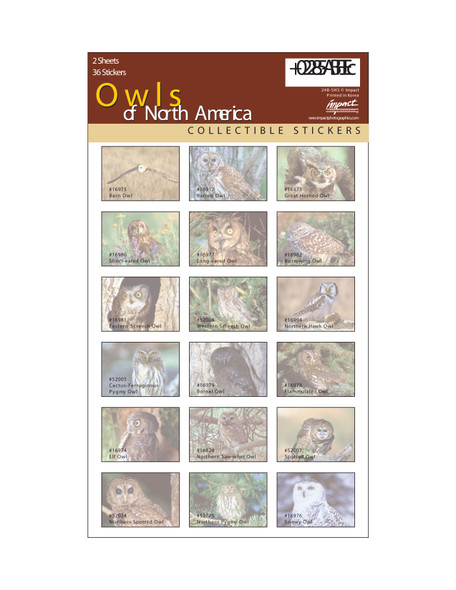 IMPACT PHOTOGRAPHICS - Owls of North America - Sticker Sheet (IMP248SHS) 802285015942