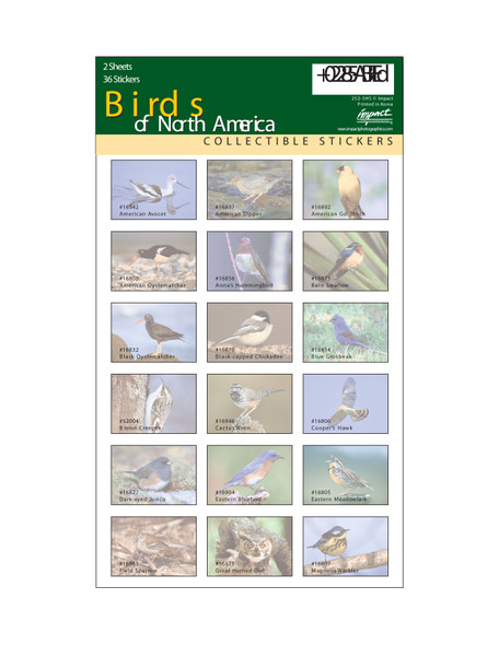 IMPACT PHOTOGRAPHICS - Birds of North America - Sticker Sheet (IMP252SHS) 802285015843