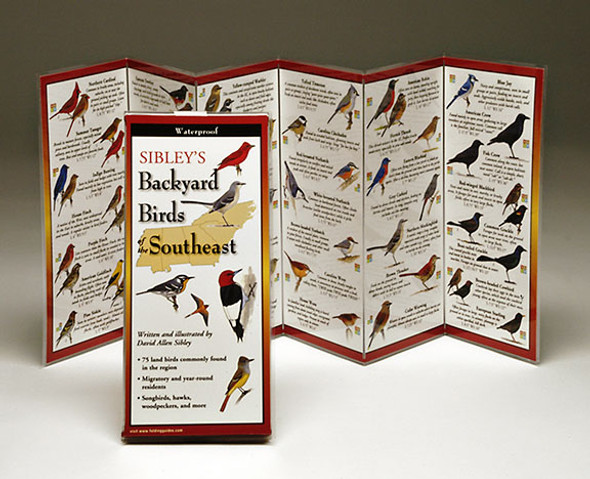EARTH SKY + WATER - Sibley's Backyard Birds Florida - Field Guide Book (LEWERSBBF111) 740620901119