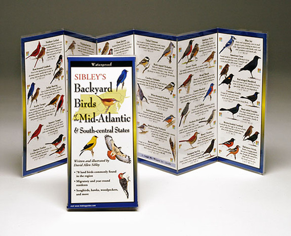 EARTH SKY + WATER - Sibley's Backyard Birds Mid-Atlantic & South Central States - Field Guide Book (LEWERSBBM109) 740620901096
