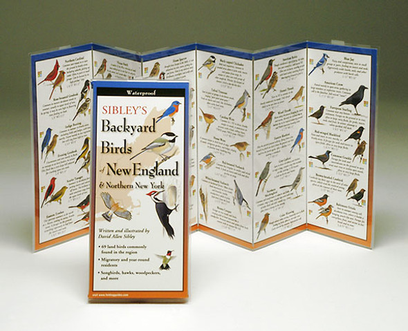 EARTH SKY + WATER - Sibley's Backyard Birds New England & Northern New York - Field Guide Book (LEWERSBBN108) 740620901089