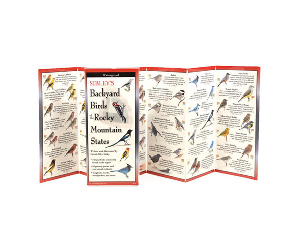 EARTH SKY + WATER - Sibley's Backyard Birds of Rocky Mountain States Pocket Guide (LEWERSBBR123) 740620903854