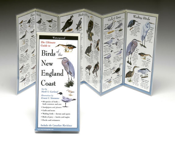 EARTH SKY + WATER - Birds New England Coast - Field Guide Book (LEWERSBNE154) 740620900549