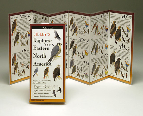 EARTH SKY + WATER - Sibley's Raptors Eastern North America - Field Guide Book (LEWERSBOP115) 740620901171