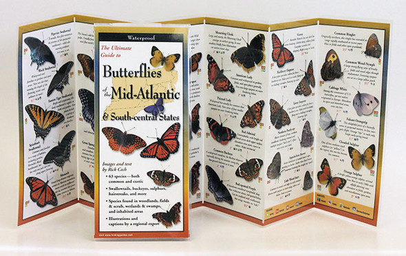 EARTH SKY + WATER - Butterflies Mid-Atlantic & South Central States - Field Guide Book (LEWERSBUM102) 740620901027