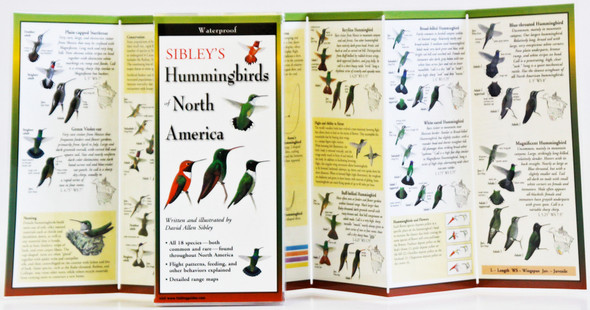 EARTH SKY + WATER - Sibley's Hummingbirds of North America - Field Guide Book (LEWERSHN156) 740620901560