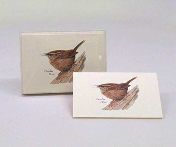 EARTH SKY + WATER - Carolina Wren Notecards - Set of 8 with Envelopes (LEWERSNC69) 740620903519