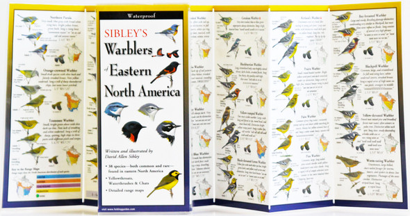 EARTH SKY + WATER - Sibley's Warblers of Eastern North America - Field Guide Book (LEWERSWE155) 740620901553