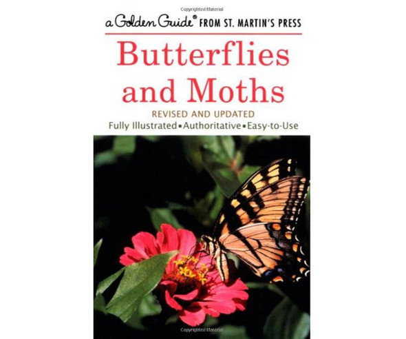 MACMILLAN - Butterflies & Moths Pocket Guide (MPS978158238136) 9781582381367