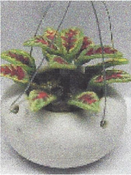 NEW CREATIONS - 1" Scale Dollhouse Miniature - Greenery in a Hanging Container (RP0111)