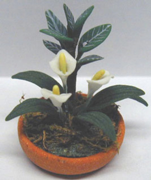 NEW CREATIONS - 1" Scale Dollhouse Miniature - White Lily Plant (RP0185)