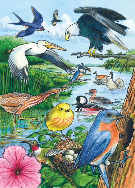 OUTSET MEDIA GAMES - North American Birds Tray 35 Piece Framed Jigsaw Puzzle (OM58809) 625012588096