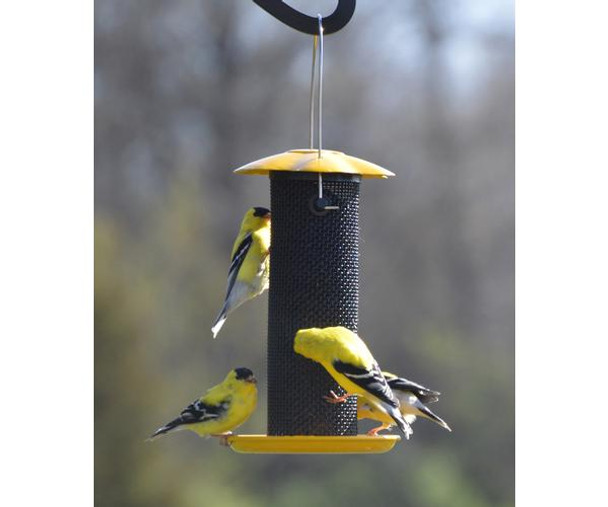 SONGBIRD ESSENTIALS - Petite Yellow Thistle Bird Feeder (SE111) 645194778481