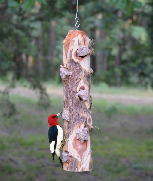 SONGBIRD ESSENTIALS - 6 Plug Suet Log Without Perches SESCS411 645194777576