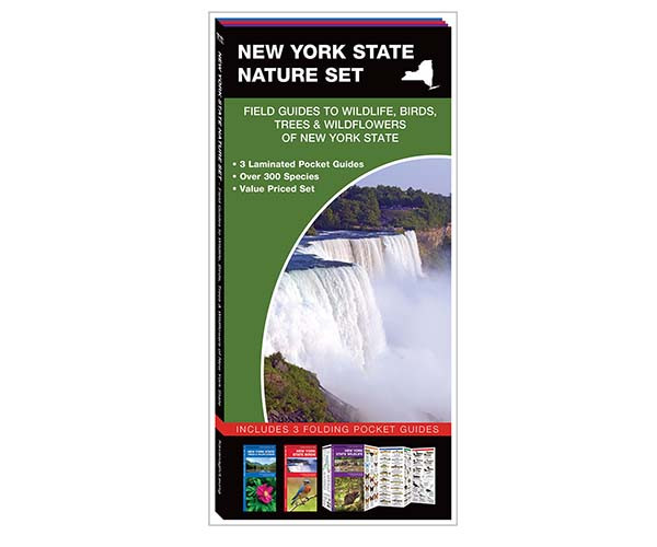 WATERFORD PRESS - New York State Nature Set (3 pack Folding Pocket Guides) (WFP1620051573) 884682007164