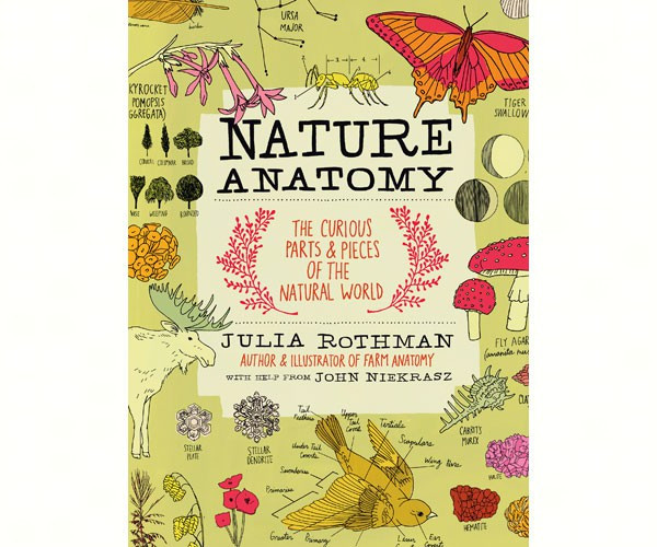 WORKMAN PUBLISHING - Nature Anatomy Book WMP1612122311 9781612122311