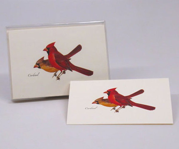 OakridgeStores.com | EARTH SKY + WATER - Cardinal Notecard Assortment (8 of 1 style) (LEWERSNC51) 740620903304
