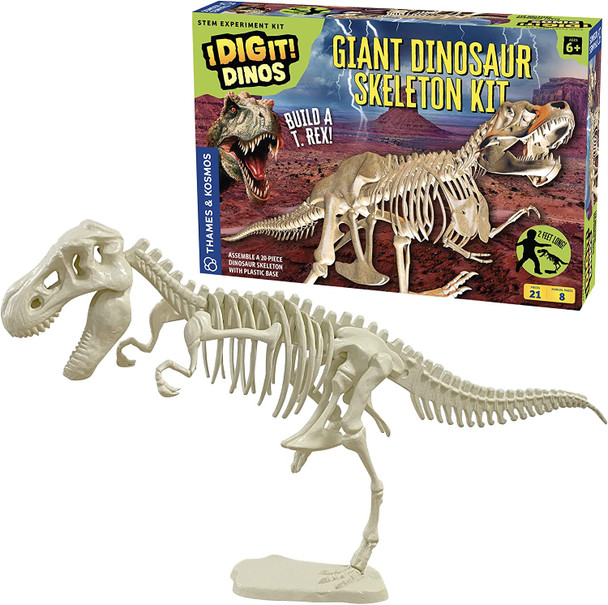 OakridgeStores.com | THAMES & KOSMOS - Giant T-REX Dinosaur Skeleton - Paleontology Science Model Building Kit (632120) 814743013360