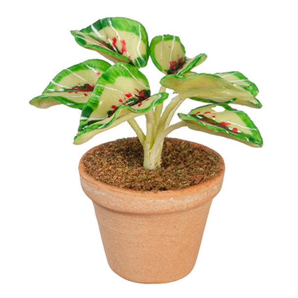 OakridgeStores.com | AZTEC - Coleus Plant In Pot - 1" Scale Dollhouse Miniature (G6331) 717425633101