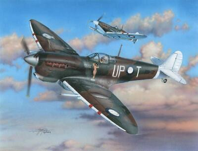 RESALE SHOP - NOB Special Hobby 1/48 Supermarine Spitfire Mk Vc Raaf Service Fighter - SH48100