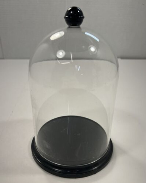RESALE SHOP - Black Clear Plastic Bell Jar Dome Display Case